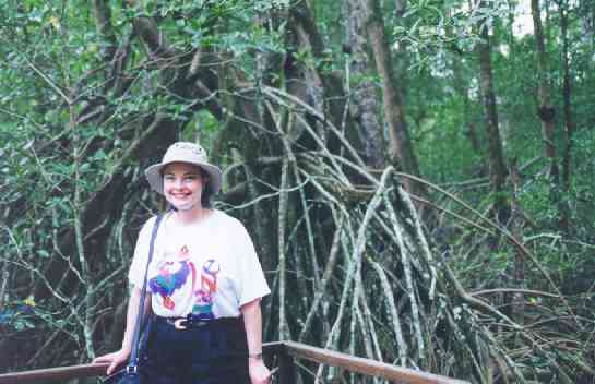 The Mangrove trees are really big