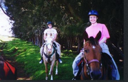 Horseback riding in Hawaii