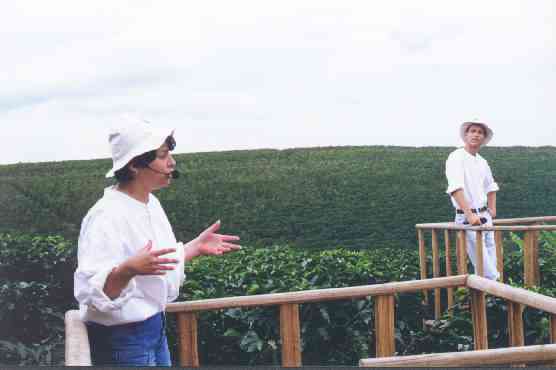 Explaining growing and cultivation of the coffee