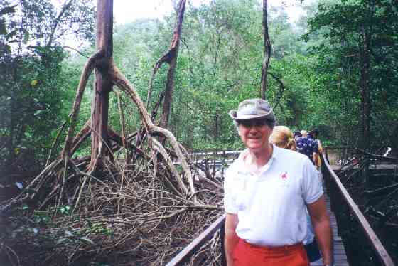 Ron in the Mangrove forest